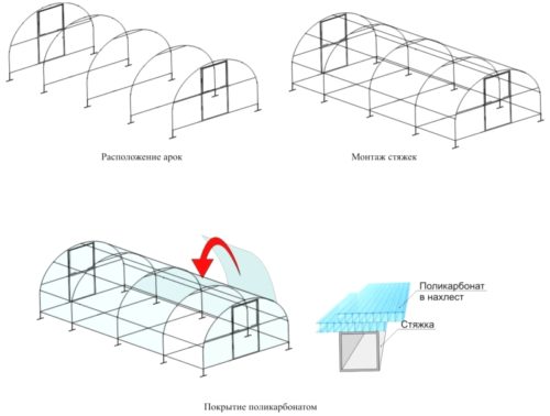 Парник з пластикових труб з полікарбонатом