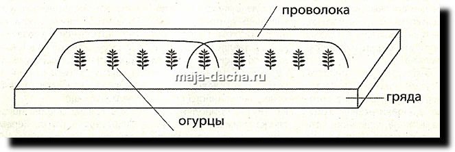 Снімок261