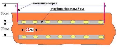 схема посадки