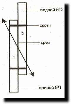 Оригінальний спосіб вирощування картоплі ...