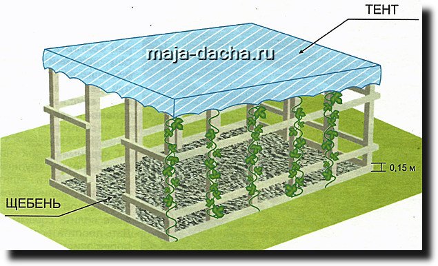 Снімок28