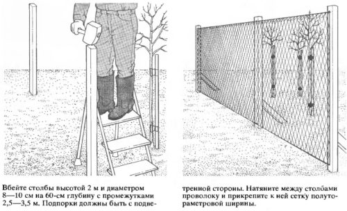 Захист від вітру