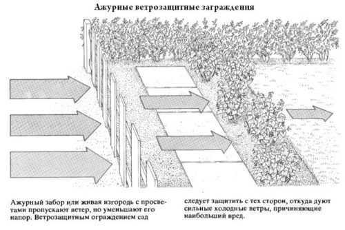 вітрозахисні загородження