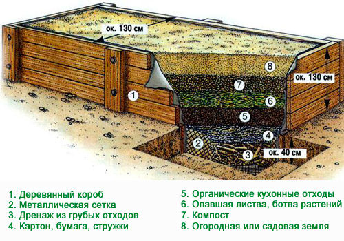 Тепла грядка для огірків