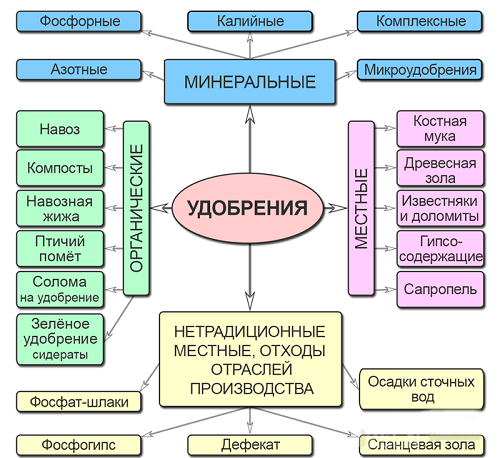 Мінеральні добрива: класифікація, які види і коли використовувати